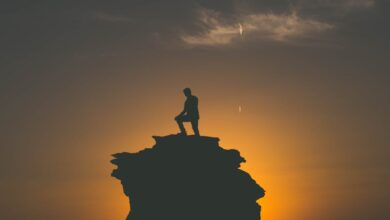 مجموعة من الكتب القديمة مع أقوال وحكم ملهمة مكتوبة عليها